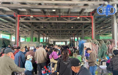 何莊子批發市場 海鮮水產與服裝服飾雙輪驅動，人氣火爆
